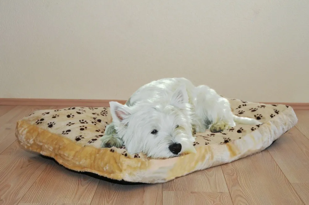 Liegewiese Silvio Gr. 4