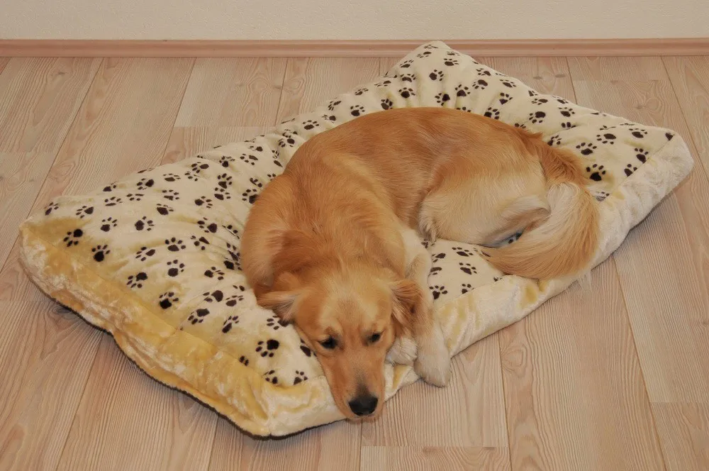 Liegewiese Silvio Gr. 5