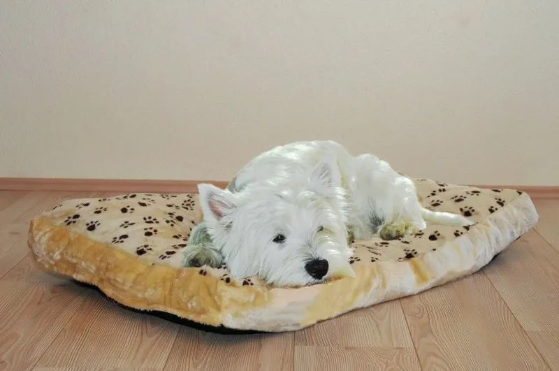 Liegewiese Silvio, 35 x 60 x 8 cm, beige/braun