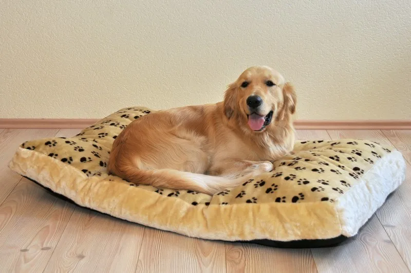 Liegewiese Silvio, 42 x 75 x 8 cm, beige/braun