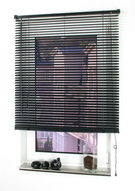 Kunststoff-Jalousie, schwarz, 160 x 100 cm