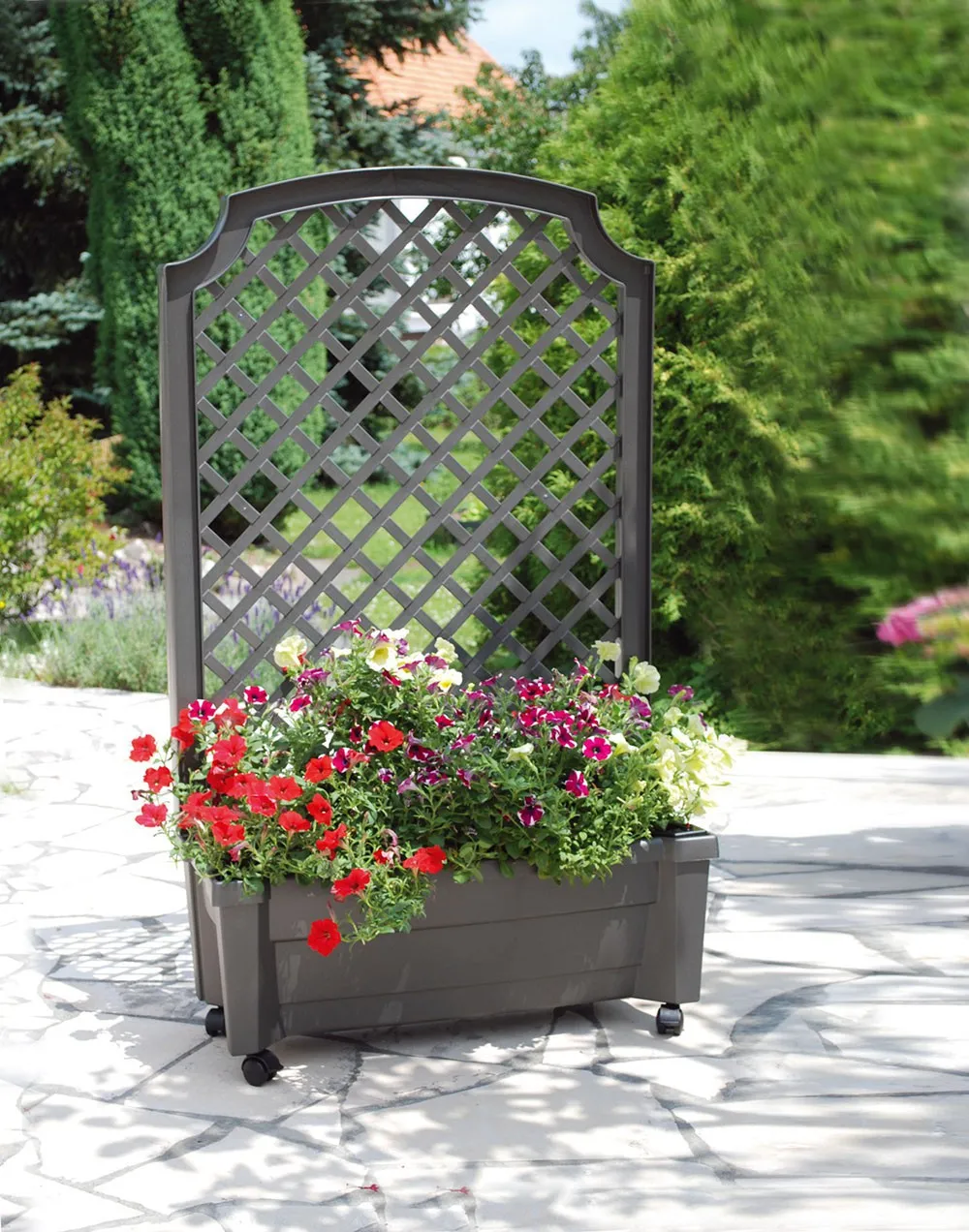 KHW Calypso Pflanzkasten auf Rollen mit Bewässerungssystem + Spalier, anthrazit