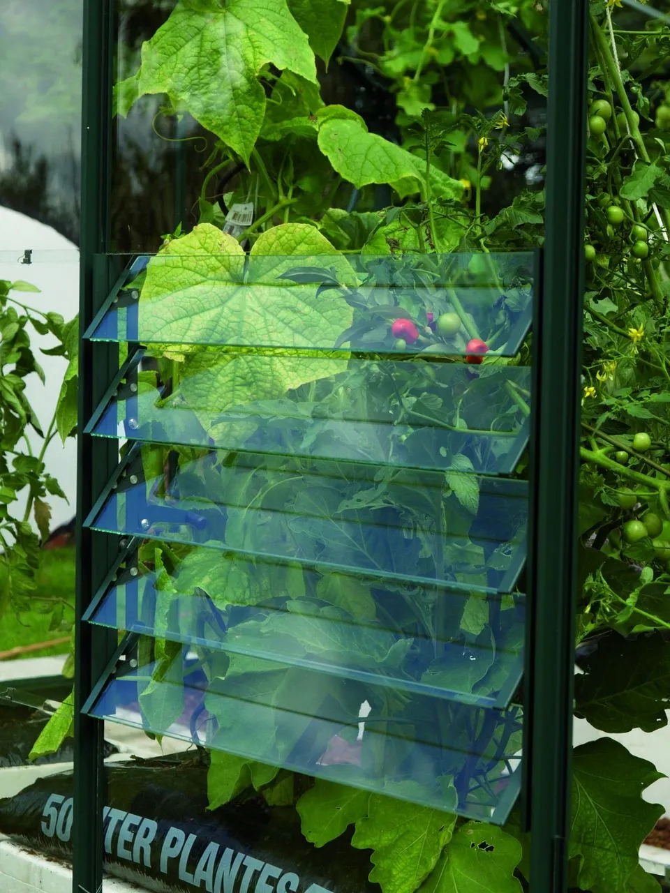 Lamellen-Wandfenster, grün, mit ESG