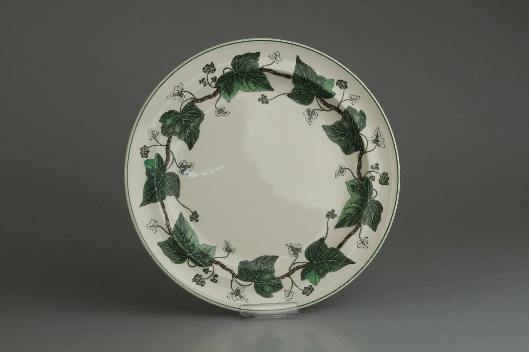 Speiseteller - Wedgwood Napoleon Ivy
