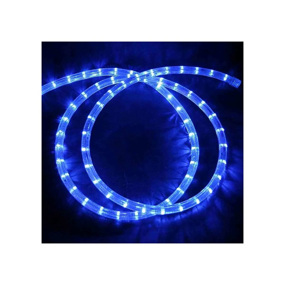 24V Premium LED Lichtschlauch blau L=30m 24V Anschluss