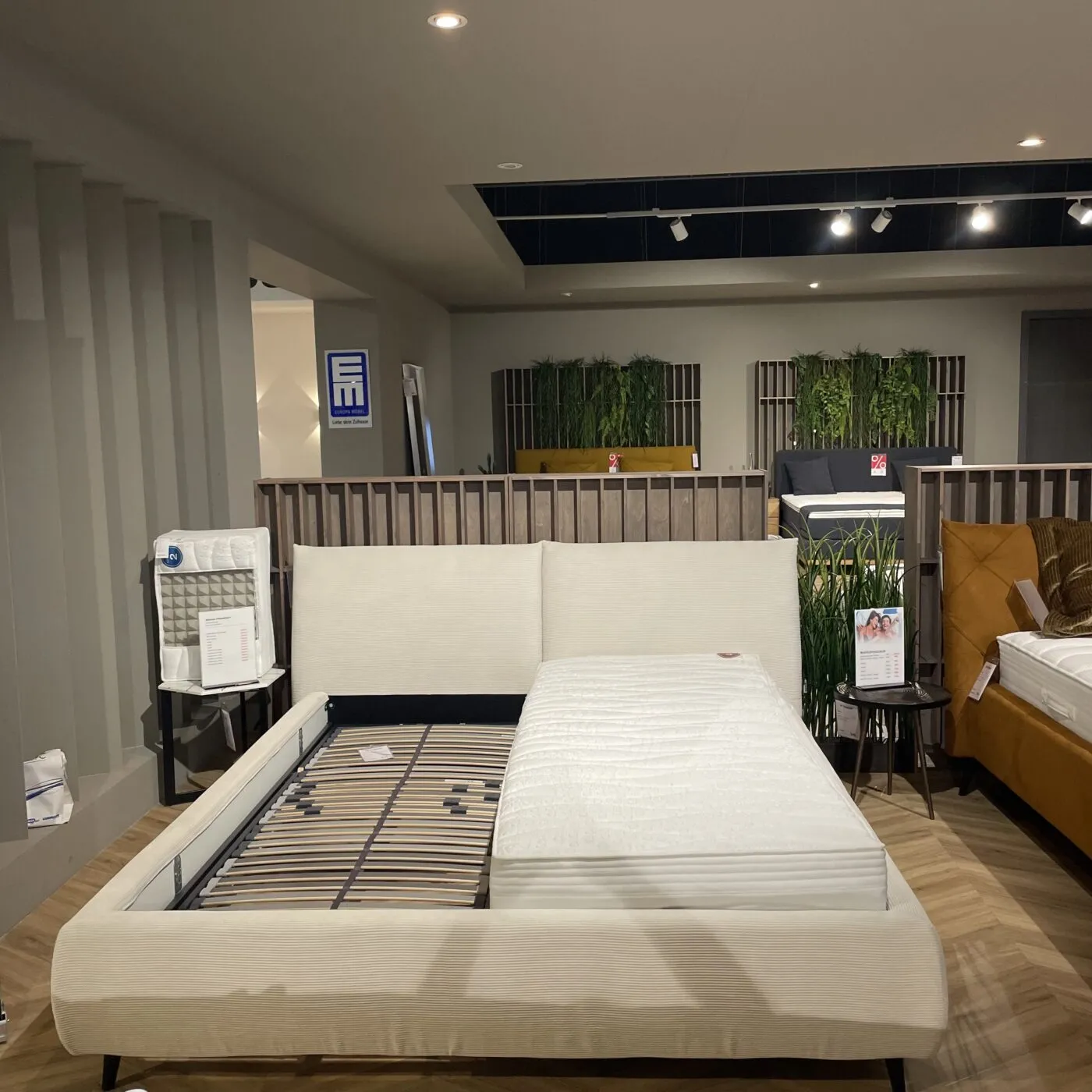 Candy Cleebronn Polsterbett - Abverkauf Lauchringen