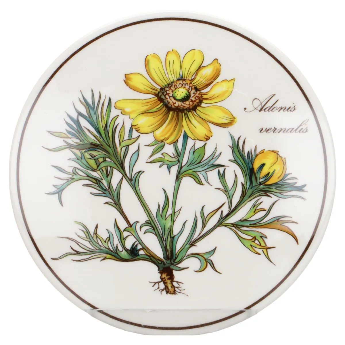 Bonbonniere klein - Adonis vernalis - Villeroy & Boch Botanica