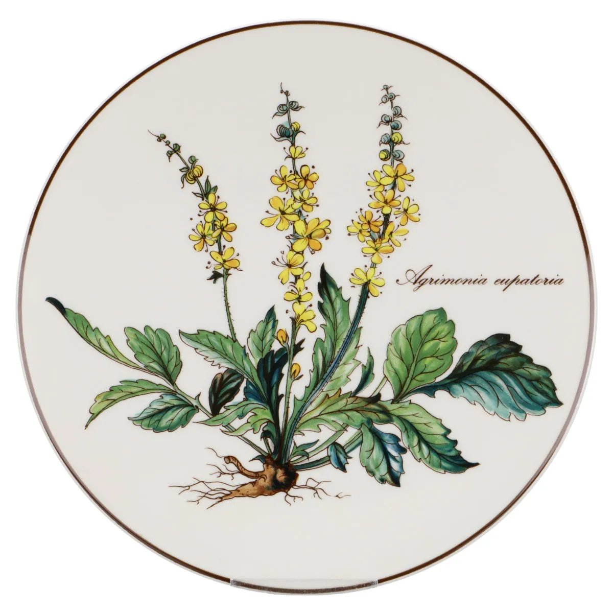 Untersetzer für Kaffeekanne Agrimonia eupatoria - Villeroy & Boch Botanica