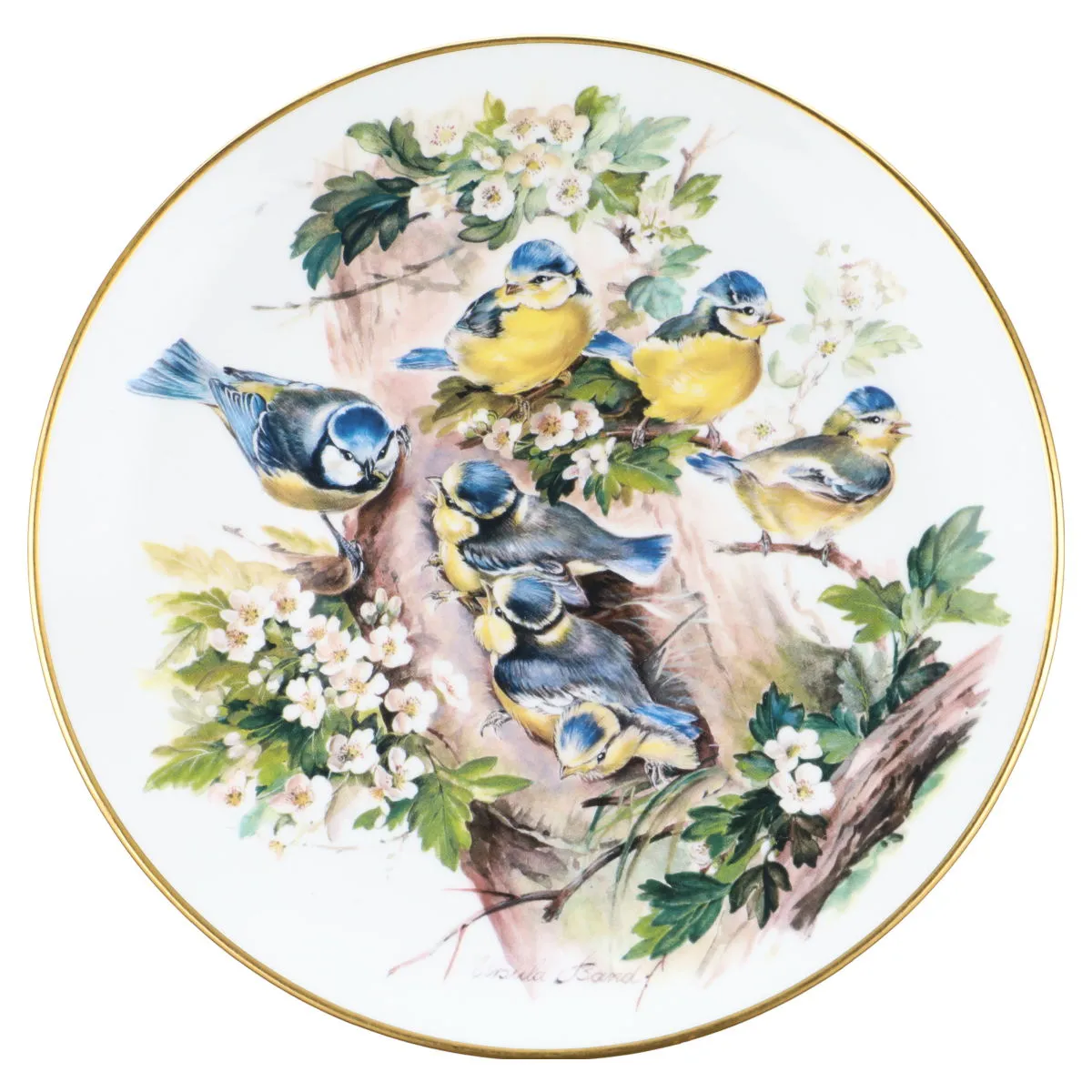 Blaumeisen-Geschwister - Hutschenreuther Wandteller Ursula Bands Vogelfamilien