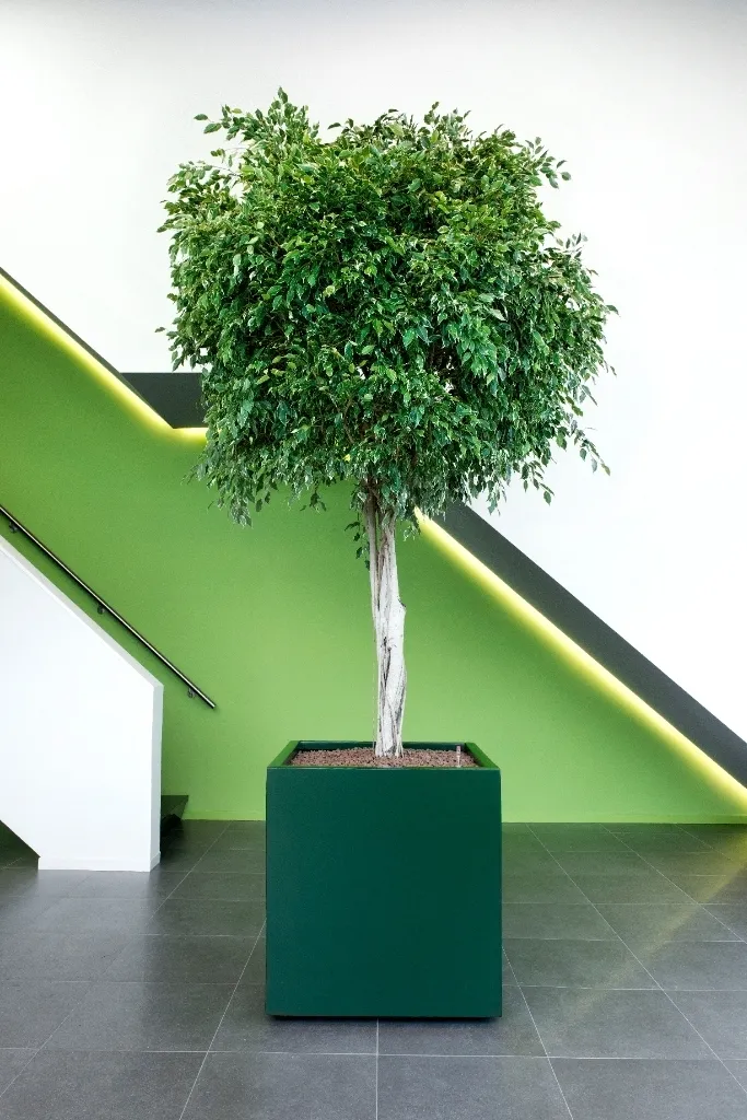 Nature's Green Pflanzgefäß LARGO