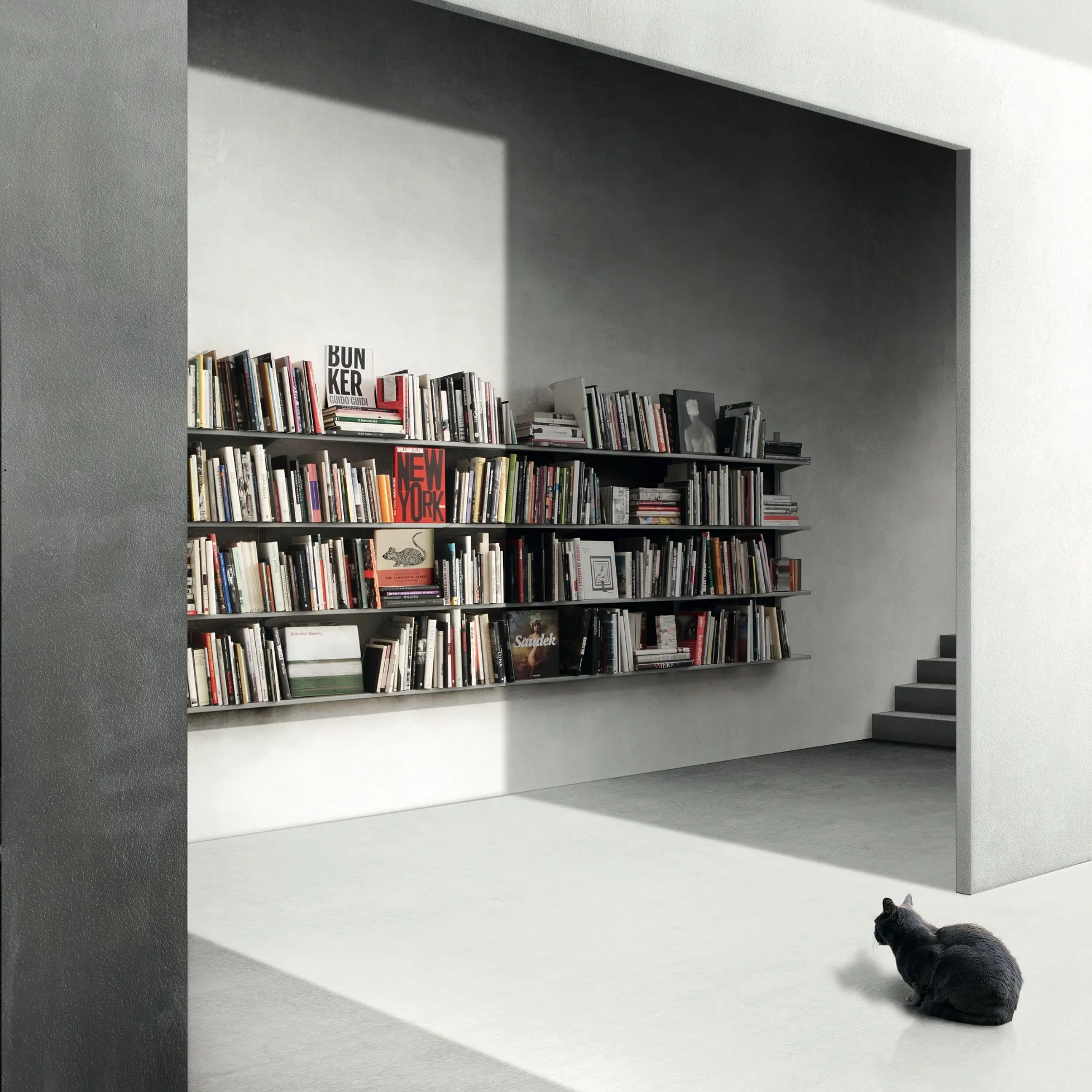 Continua Regalsystem von Pallucco